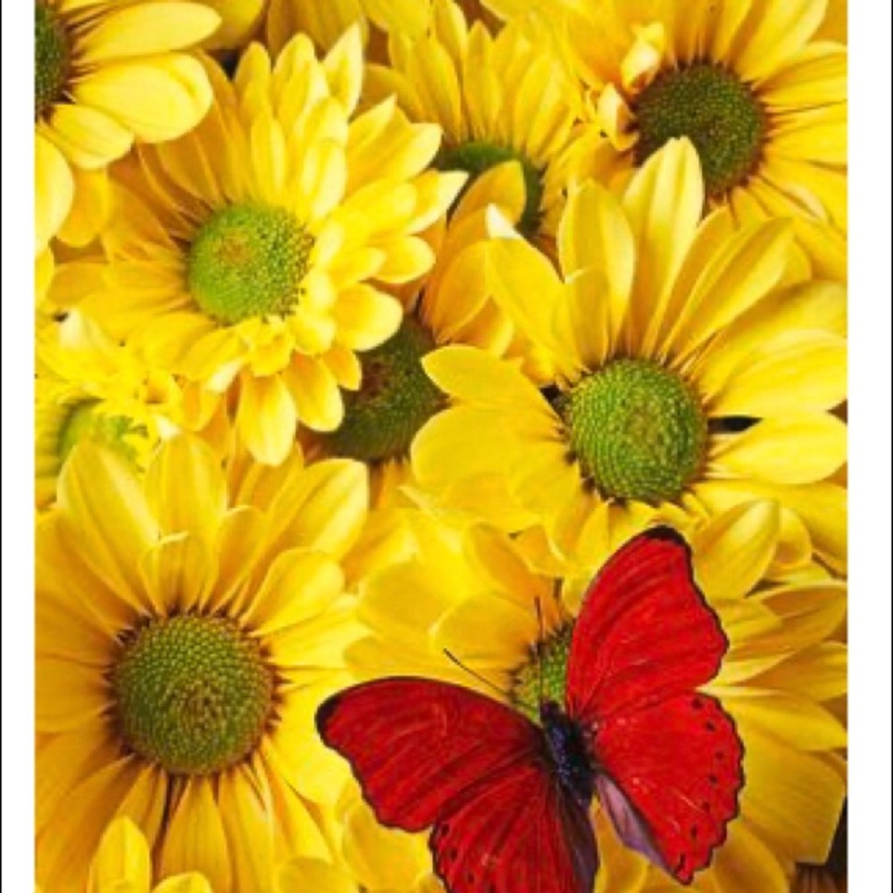 Meet your Posher, Fia